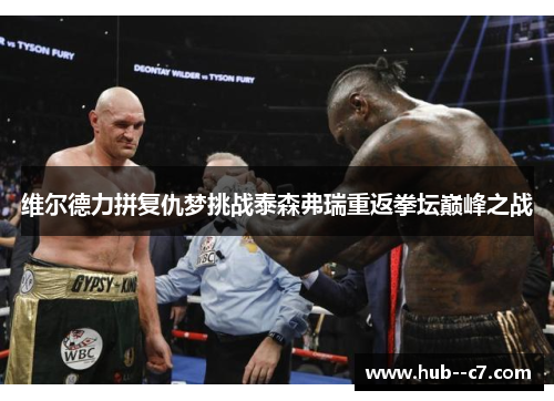 维尔德力拼复仇梦挑战泰森弗瑞重返拳坛巅峰之战