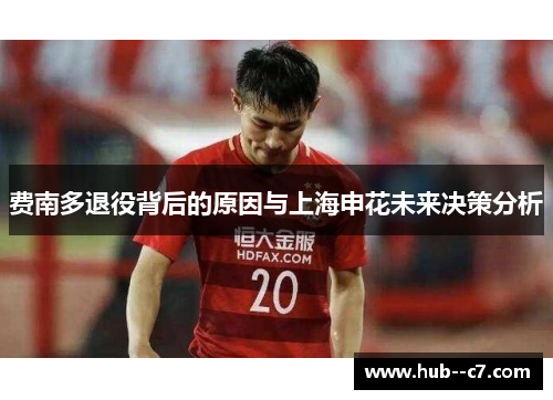 费南多退役背后的原因与上海申花未来决策分析