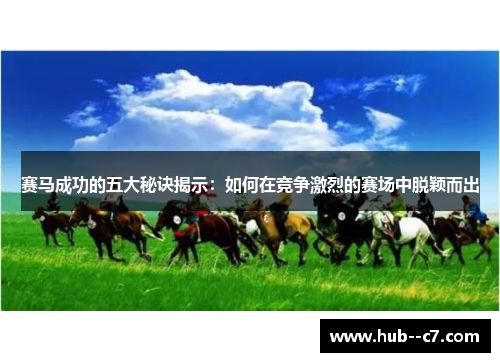 赛马成功的五大秘诀揭示：如何在竞争激烈的赛场中脱颖而出