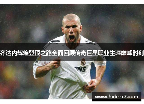 齐达内辉煌登顶之路全面回顾传奇巨星职业生涯巅峰时刻