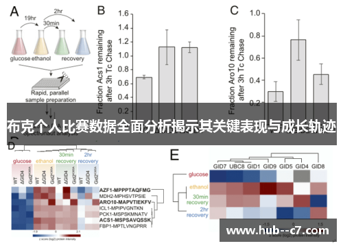 布克个人比赛数据全面分析揭示其关键表现与成长轨迹